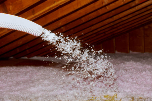 Best Professional Insulation Contractor  in Beatrice, NE