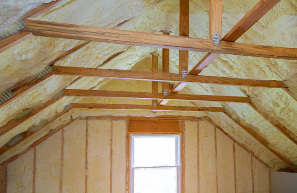 Best Attic Insulation Installation  in Beatrice, NE
