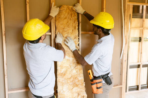 Best Insulation Inspection Services  in Beatrice, NE