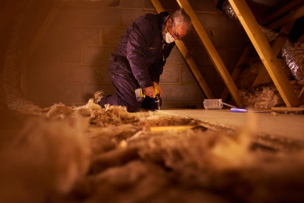 Best Insulation for Commercial Buildings  in Beatrice, NE
